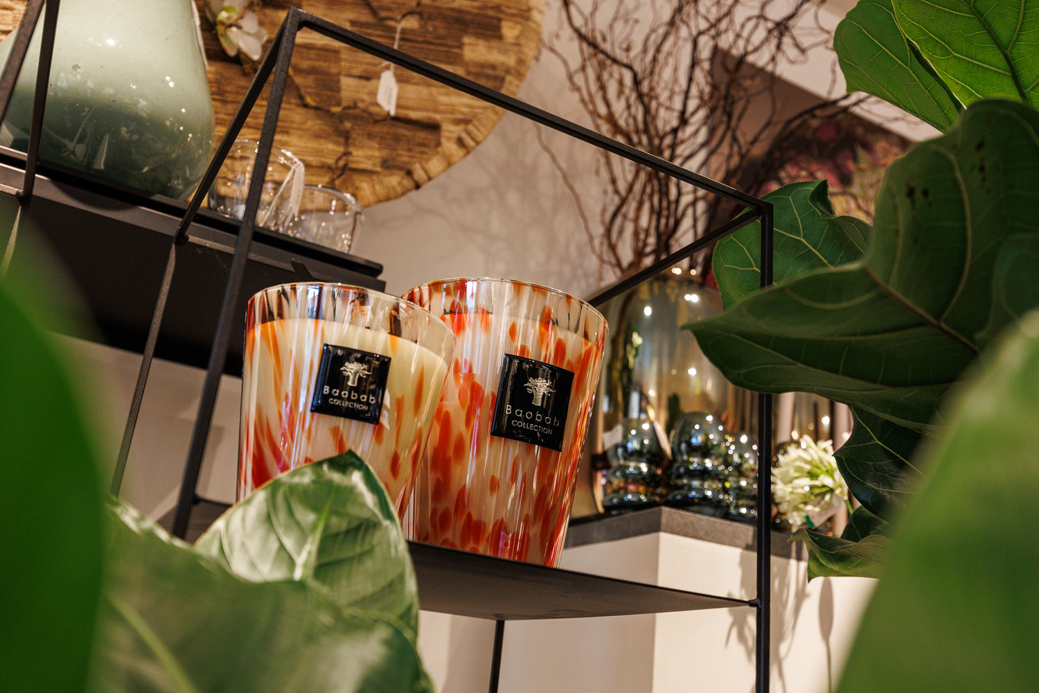 Exclusief interieurmerk Baobab geurkaars bij Fran Flowers in Merksplas.